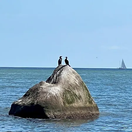 Kuesteneck Mit Meerblick Und Wellnessbereich *
